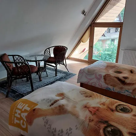 Apartamento Cede